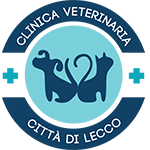 Clinica Veterinaria Città di Lecco